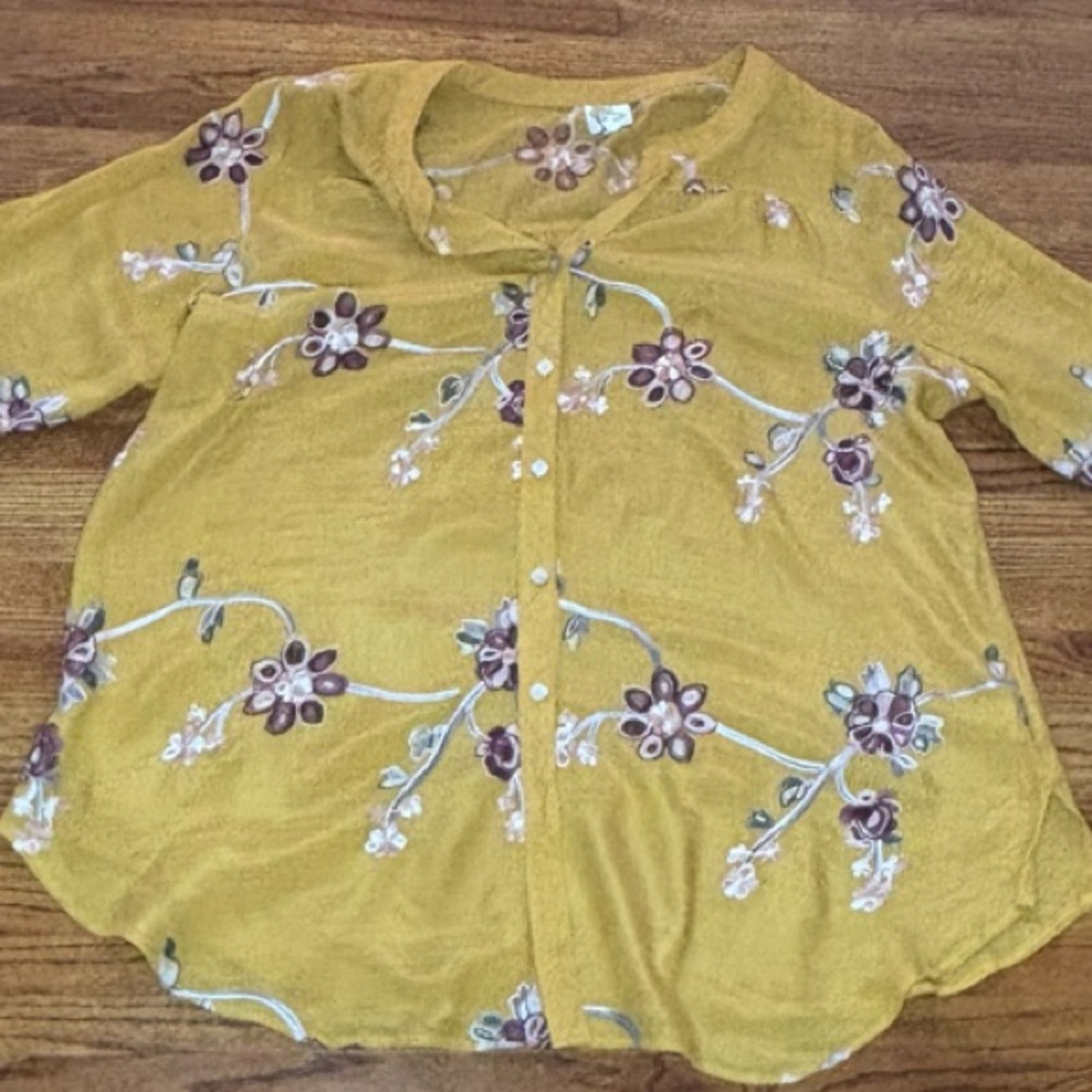 Fig and Flower Button Up Tunic Top Floral Embroidered Sheer